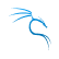 Kali Linux